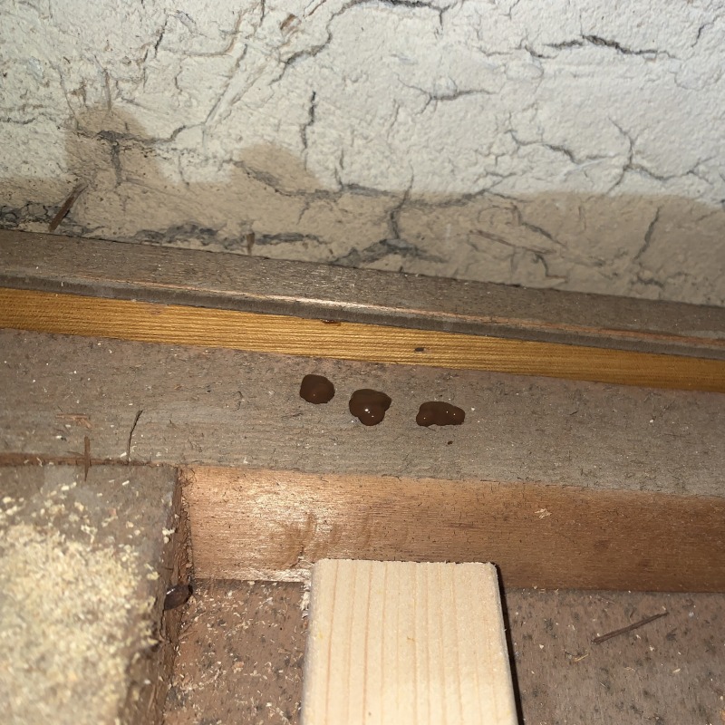 ゴキブリ用の毒エサを設置