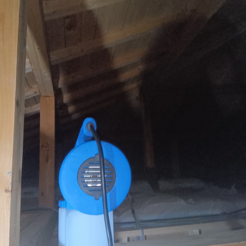 屋根裏に助勤・殺虫剤を散布する様子