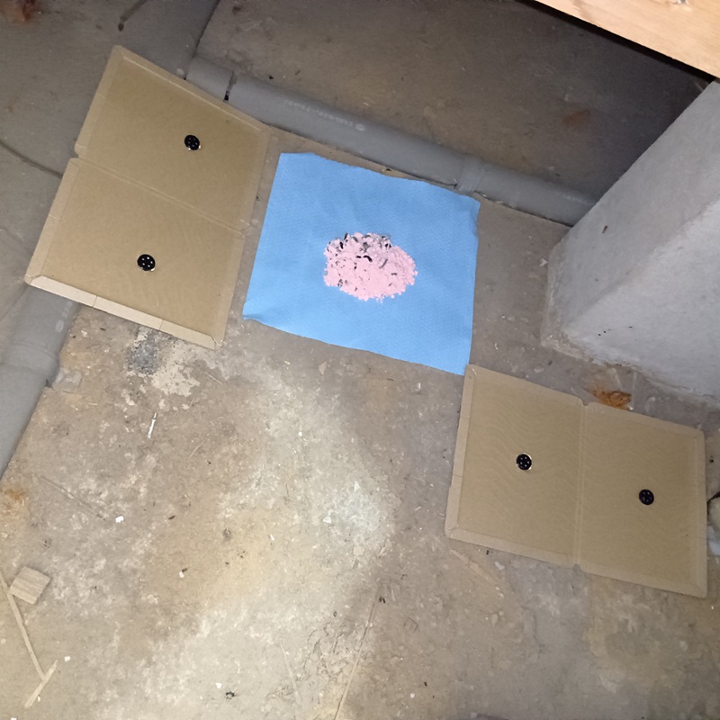 殺鼠剤と粘着シートを設置した様子