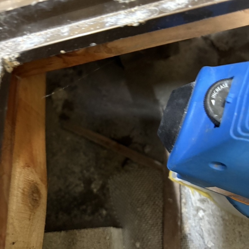 除菌・殺虫剤散布の様子