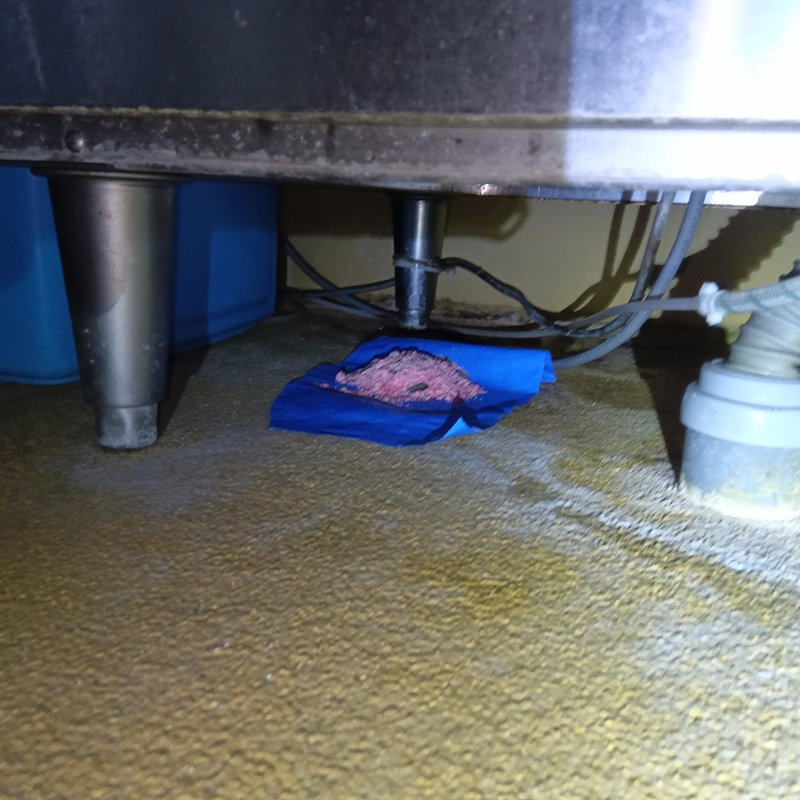 殺鼠剤を設置した様子