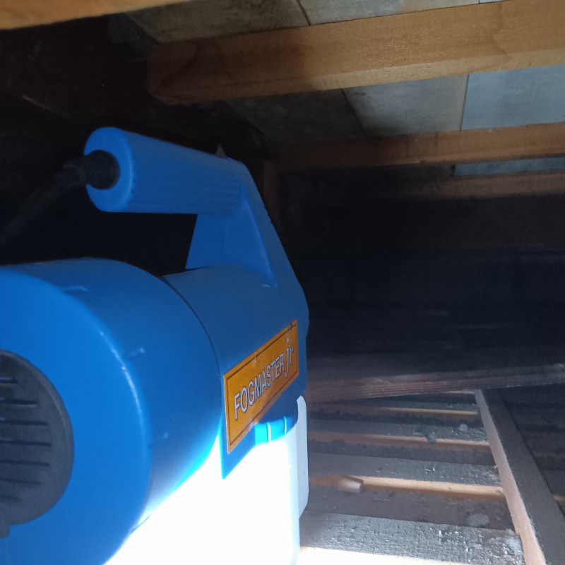 屋根裏に助勤・殺虫剤を散布