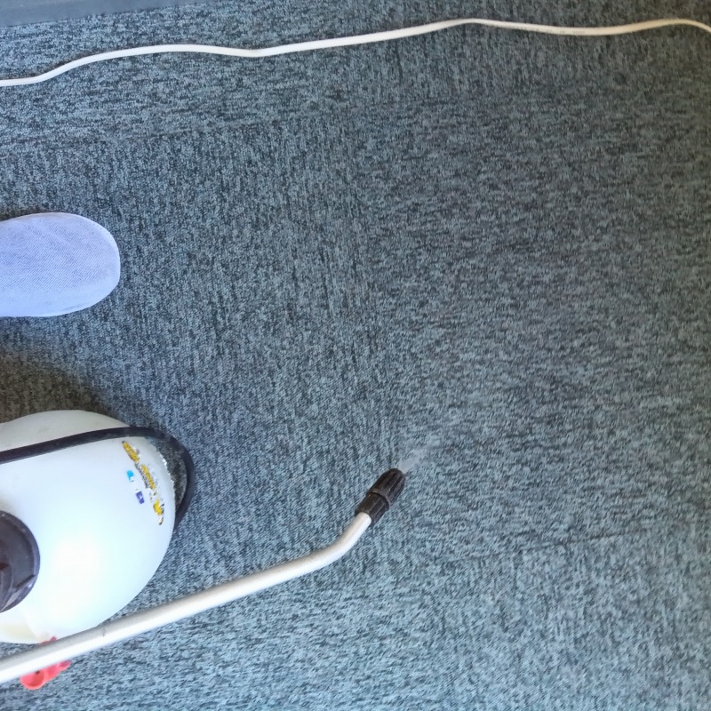 室内のフンを掃除機で回収