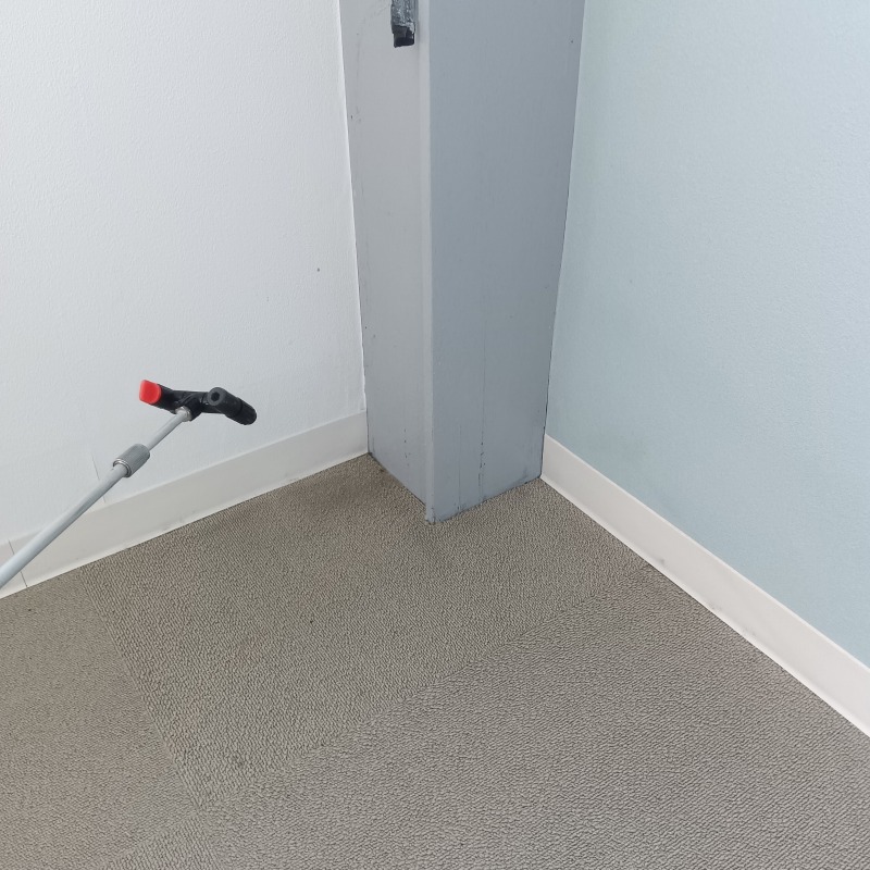 フンを清掃し除菌剤を散布