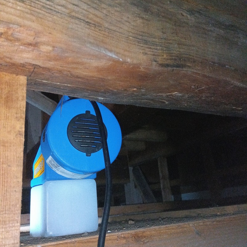 屋根裏に除菌・殺虫剤を散布する様子