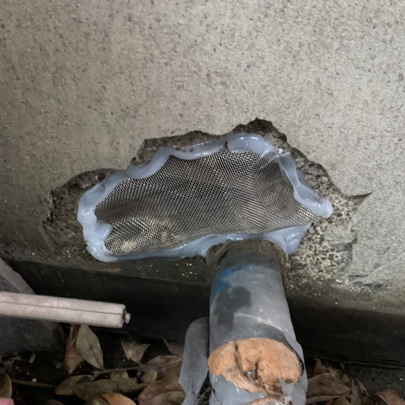 アライグマ駆除の施工事例（愛知県瀬戸市西本町）