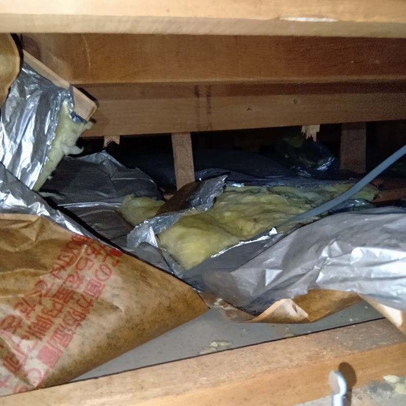 ネズミ駆除の施工事例（神奈川県川崎市川崎区小島町）