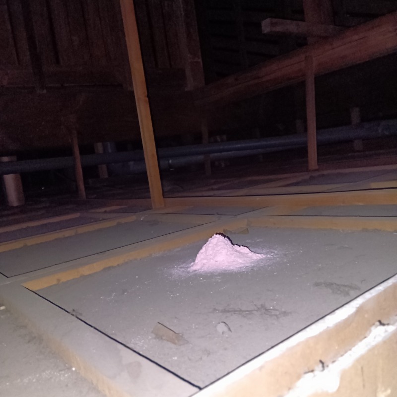 屋根裏の殺鼠剤