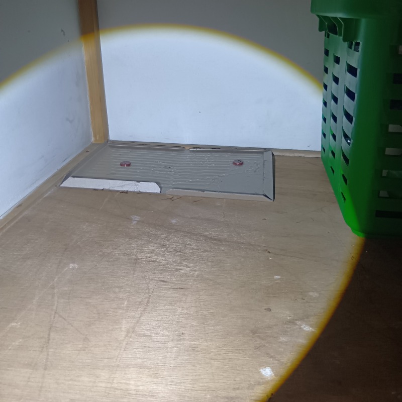 屋根裏の粘着シート