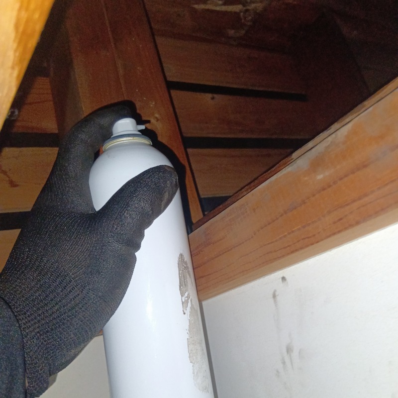 屋根裏に忌避剤を散布