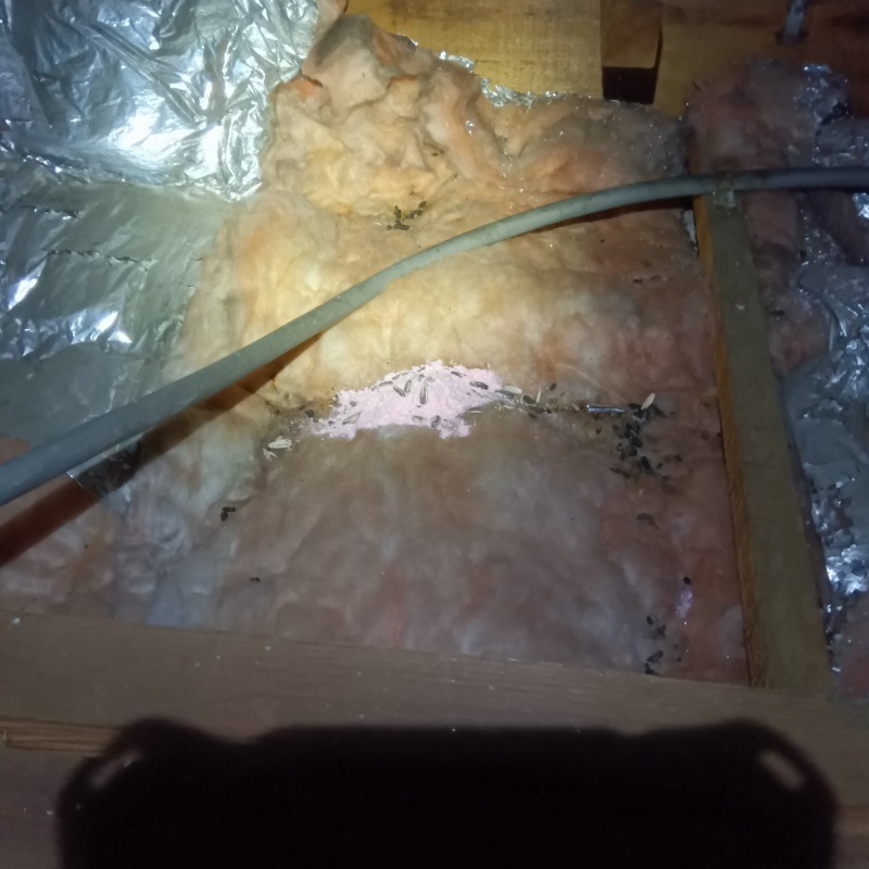 屋根裏に設置した殺鼠剤