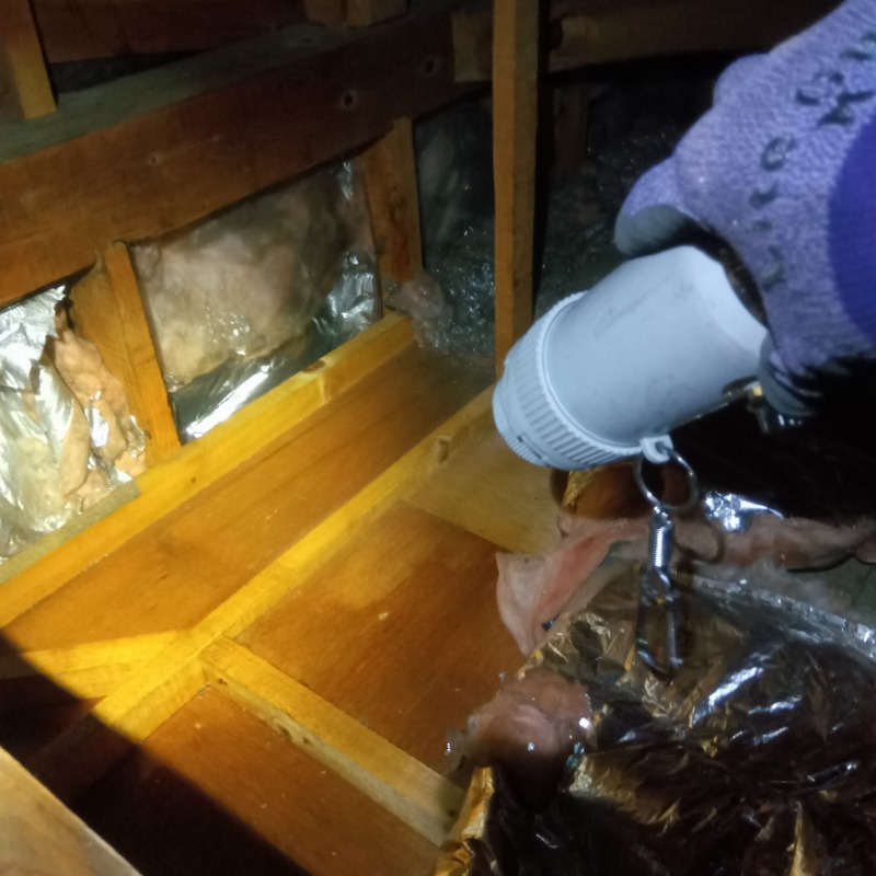 屋根裏に殺虫剤を散布する様子