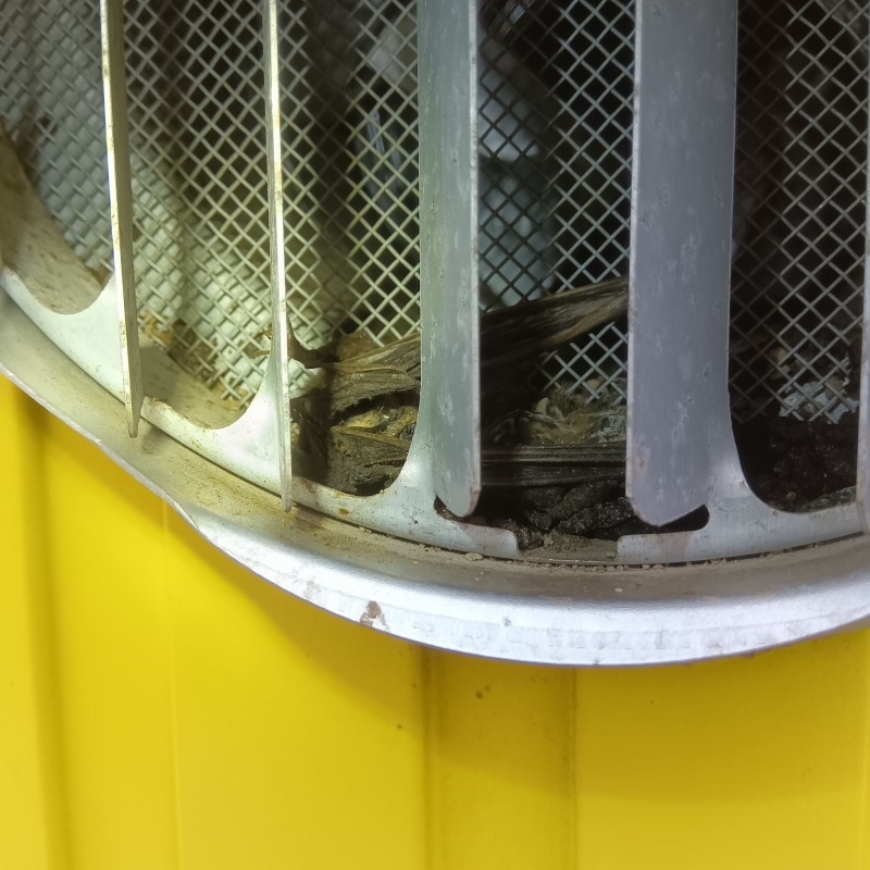 コウモリ駆除の施工事例（山梨県北杜市明野町上手）