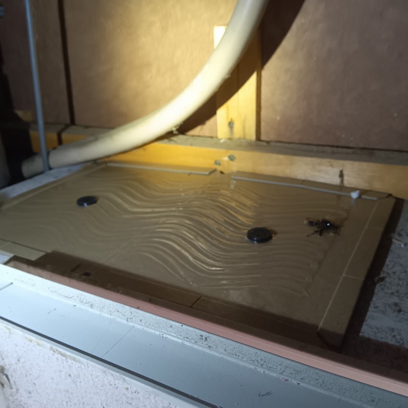 粘着シートを設置した様子