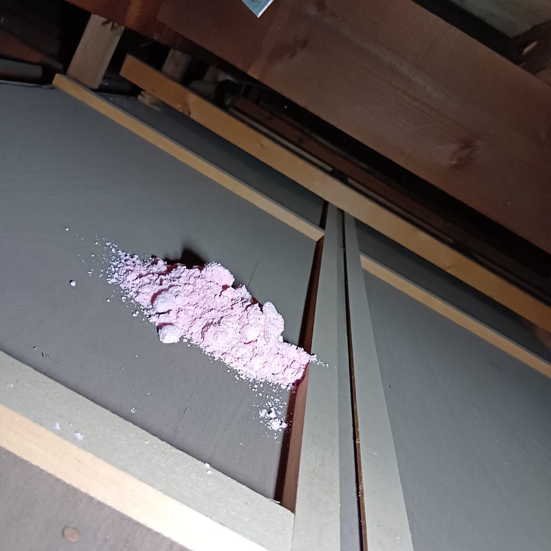 屋根裏の殺鼠剤