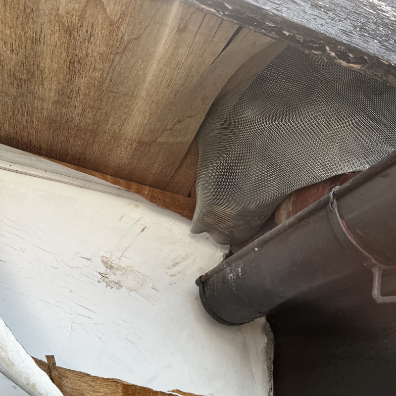 軒のすき間をふさいだ様子