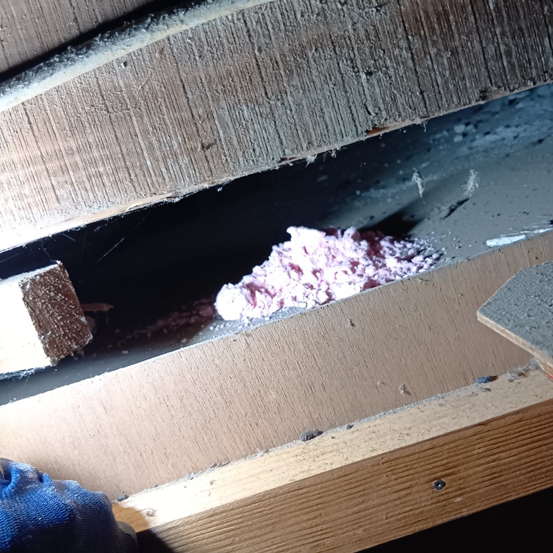 殺鼠剤を設置した様子