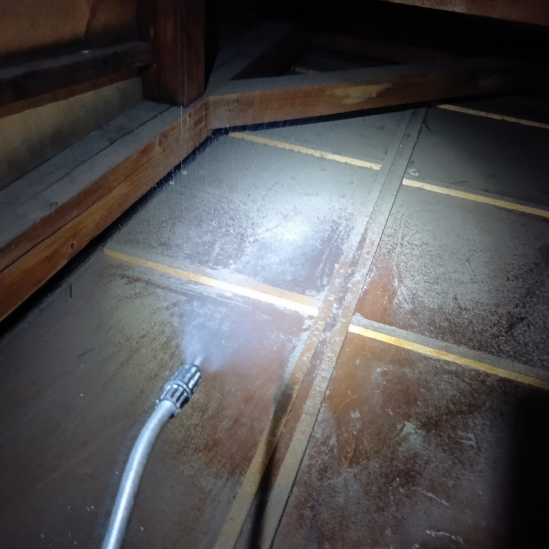 除菌・殺虫剤を散布する様子