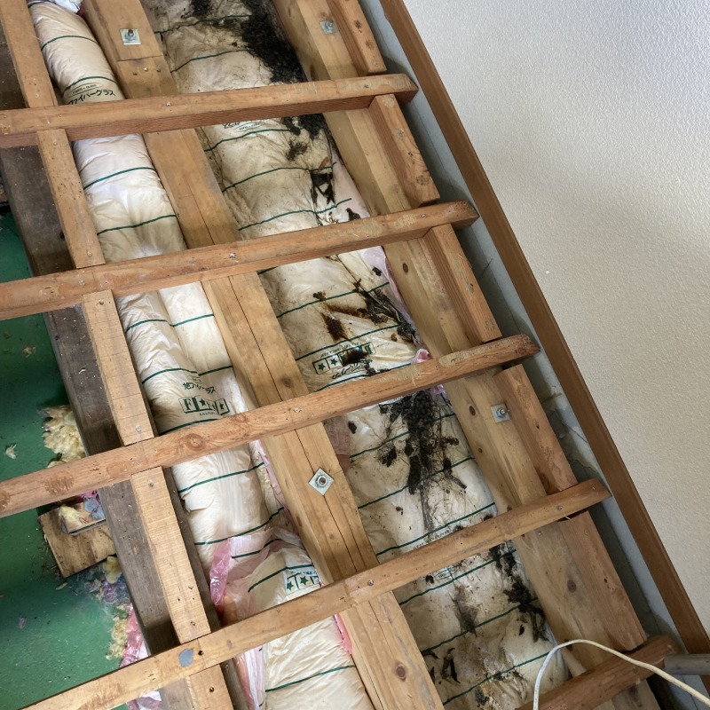 イタチ駆除の施工事例（岐阜県恵那市）