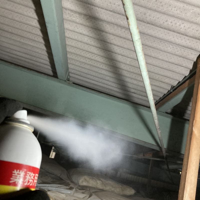 屋根裏に忌避剤を散布する様子