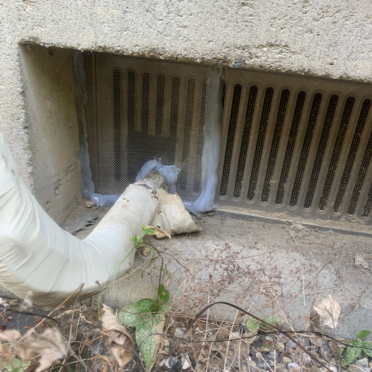 床下換気口のすき間を封鎖した様子