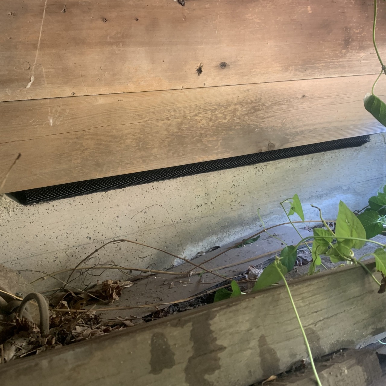 基礎部分のすき間を封鎖した様子