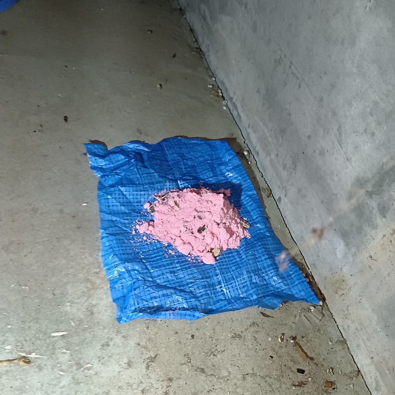 床下に設置した殺鼠剤