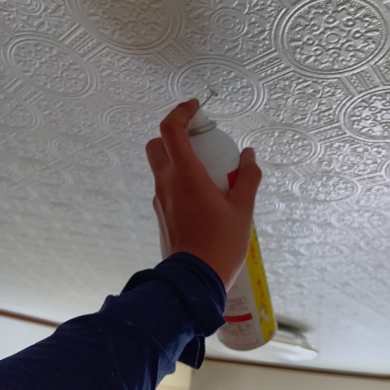 天井裏に忌避剤を散布