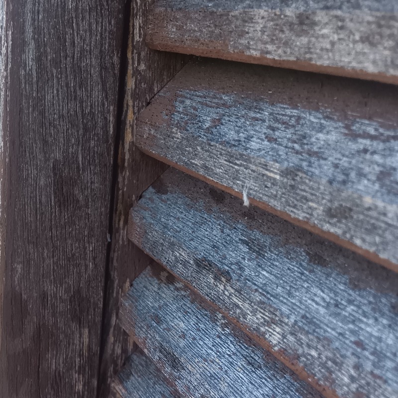 コウモリ駆除の施工事例（兵庫県加古川市米田町平津）