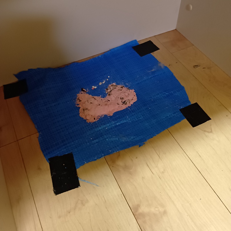 殺鼠剤を設置した様子