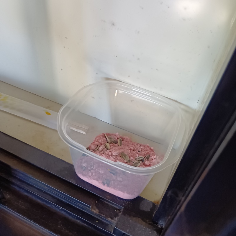 殺鼠剤を設置した様子