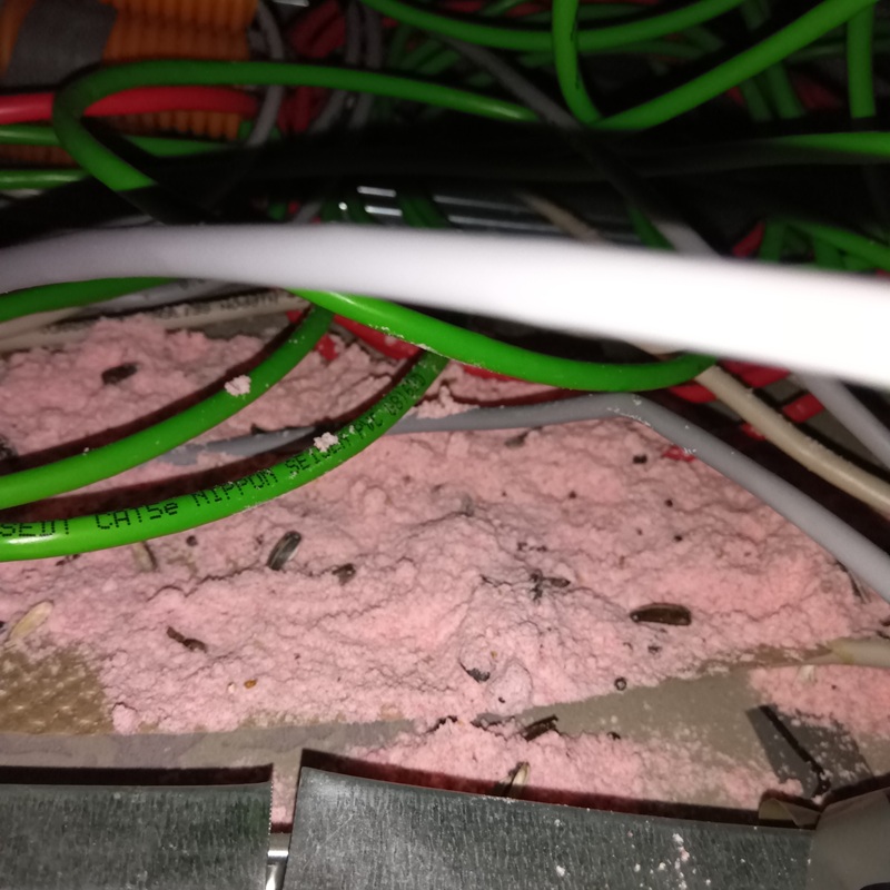 設置した殺鼠剤