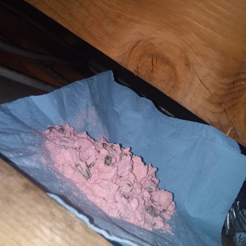 殺鼠剤を設置した様子