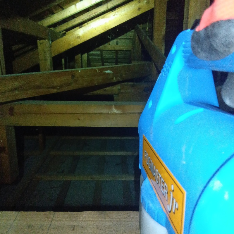 除菌・殺虫剤散布の様子