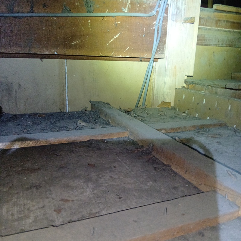 アライグマ駆除の施工事例（神奈川県相模原市緑区相原）