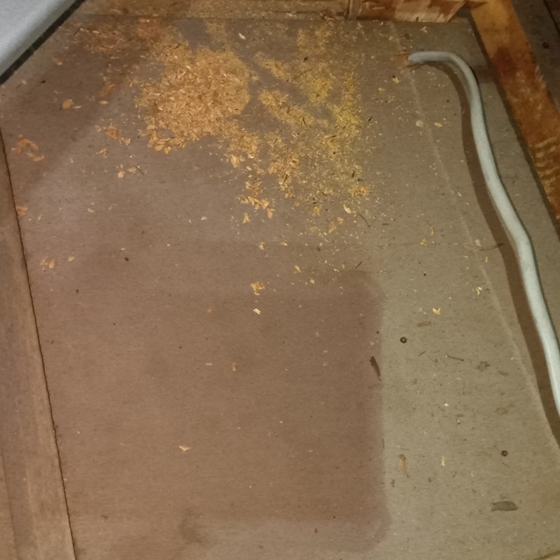 ネズミ駆除の施工事例（静岡県田方郡函南町間宮）