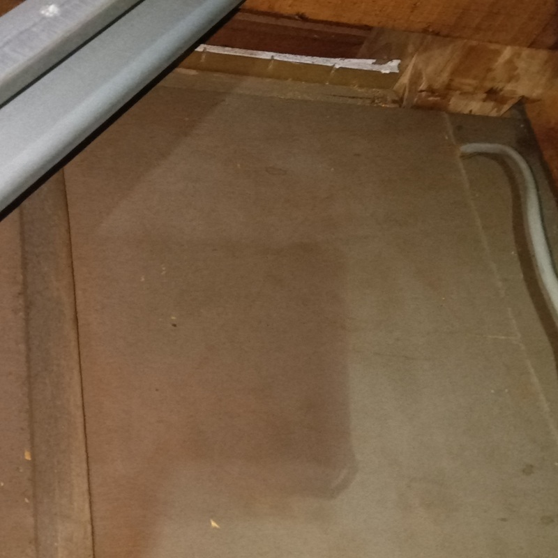 清掃後の屋根裏