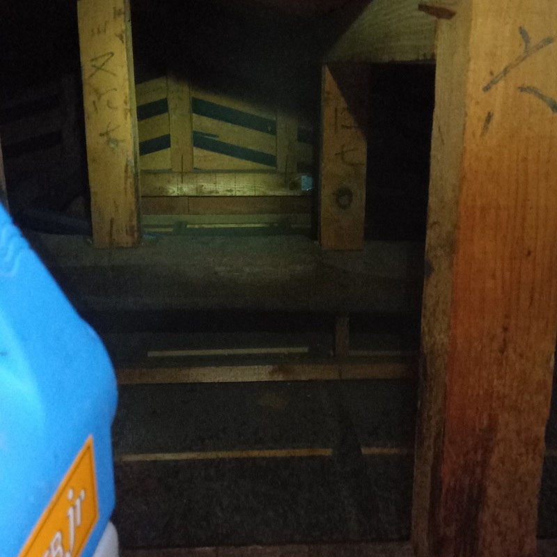 屋根裏に除菌・消臭剤を散布