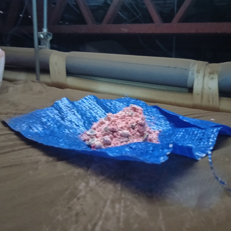 天井裏に設置した殺鼠剤