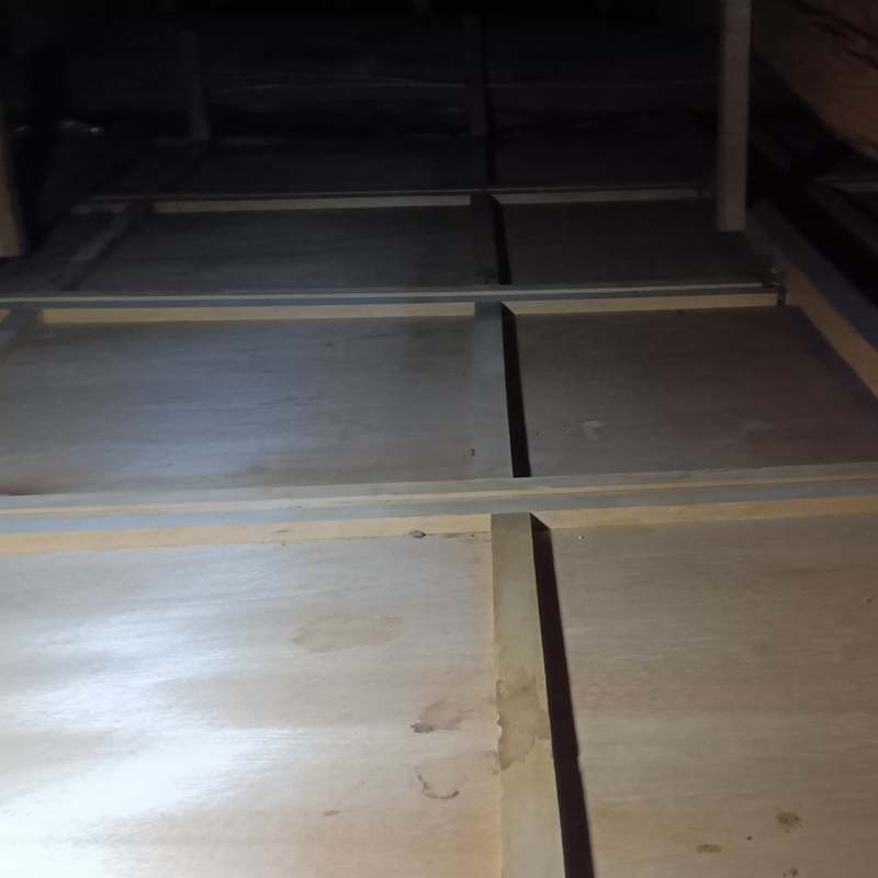 清掃後の屋根裏