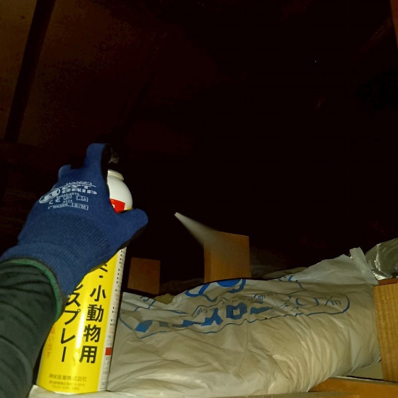 屋根裏に忌避スプレーを散布