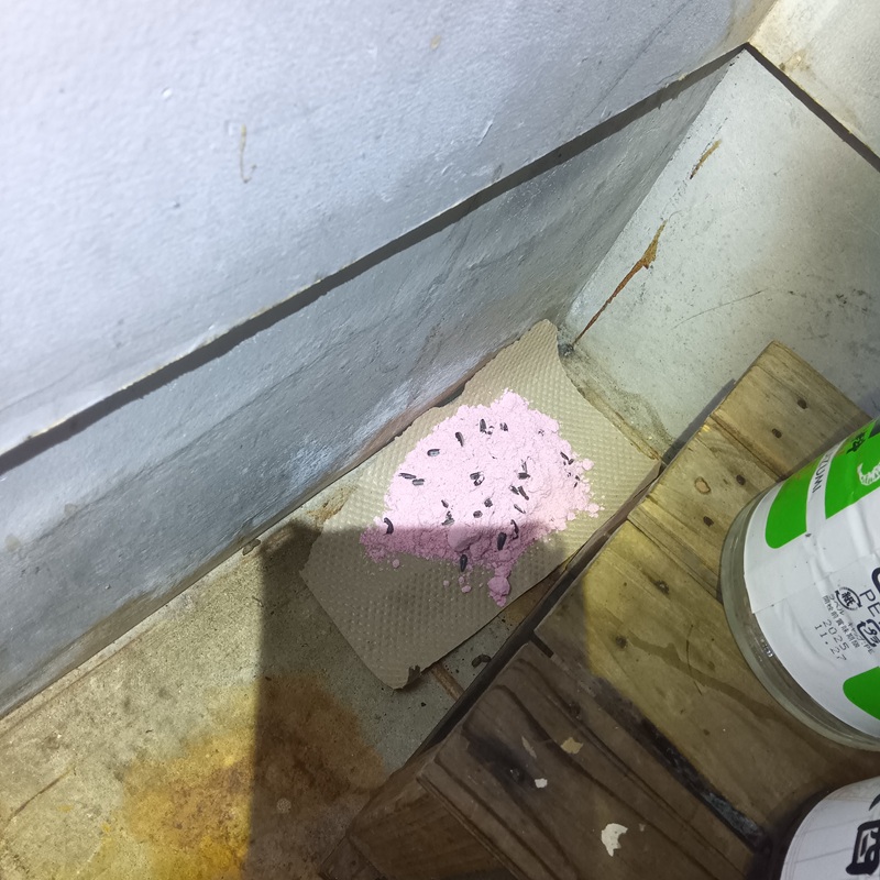 キッチン内に設置した殺鼠剤