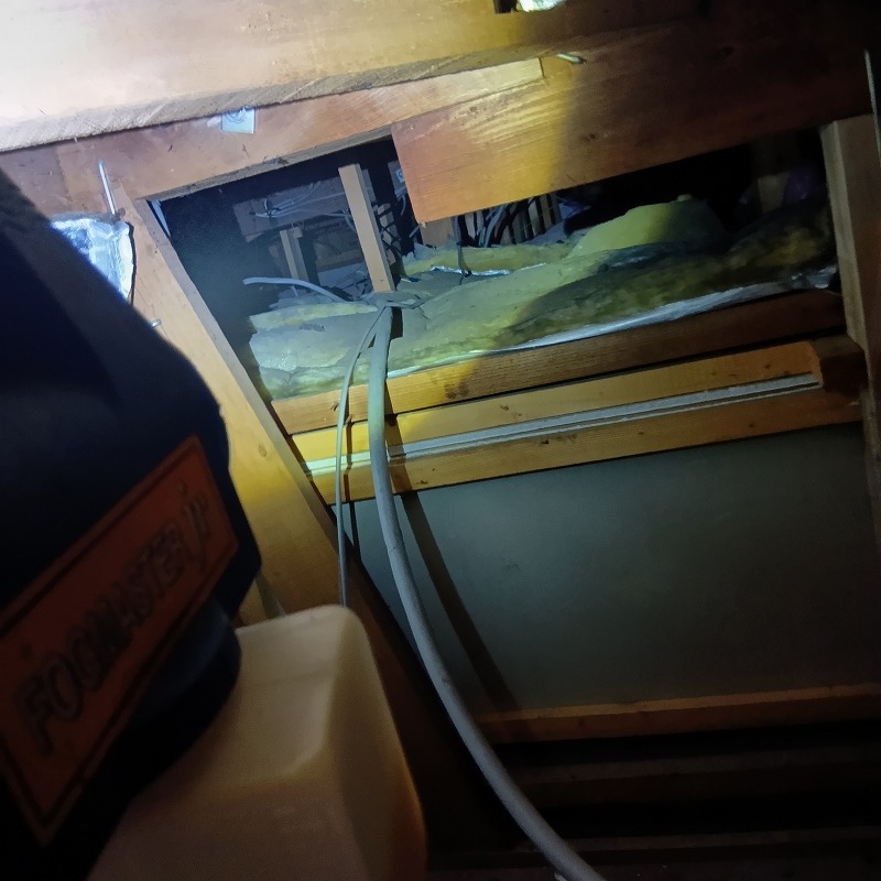 噴霧器で薬剤を散布する様子