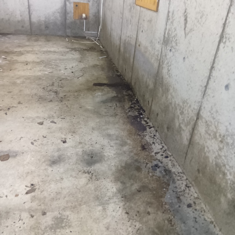 アナグマ駆除の施工事例（長野県上水内郡信濃町）