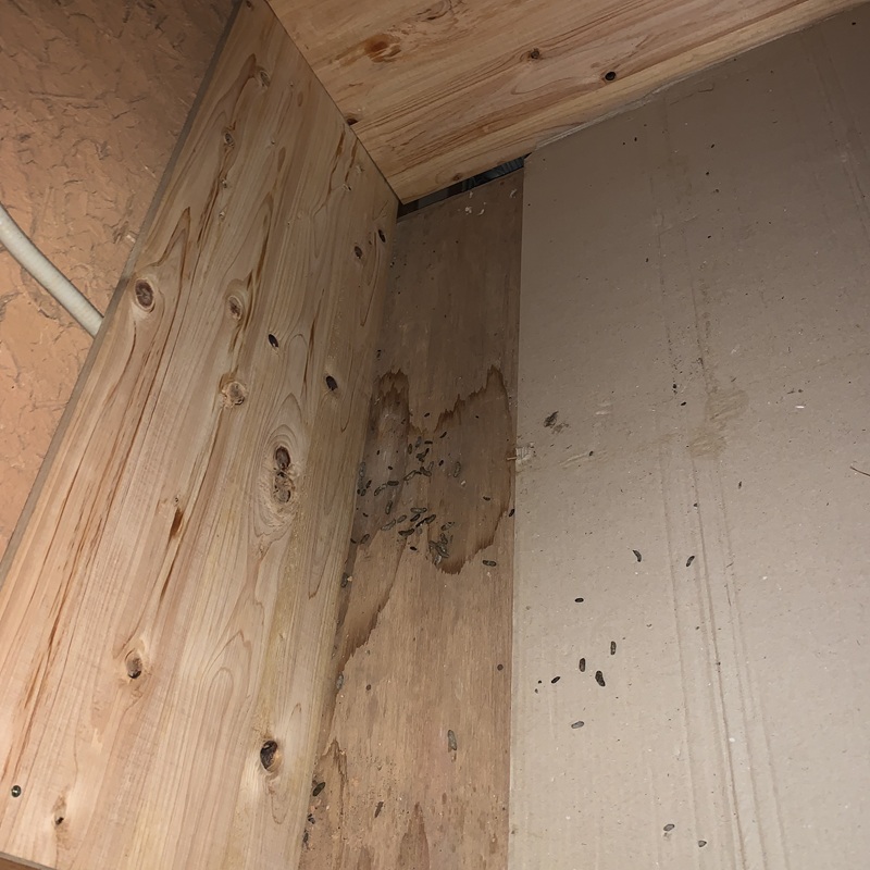 ネズミ駆除の施工事例（三重県松阪市小阿坂町）