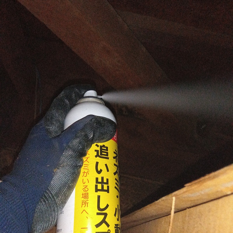 屋根裏忌避剤散布の様子