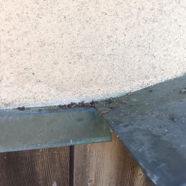 コウモリ駆除の施工事例（三重県松阪市垣鼻町）