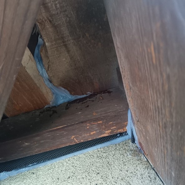 コウモリの侵入口をパテと金網で封鎖