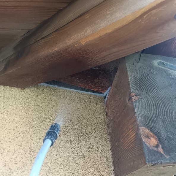 コウモリがいた箇所に薬剤を噴霧