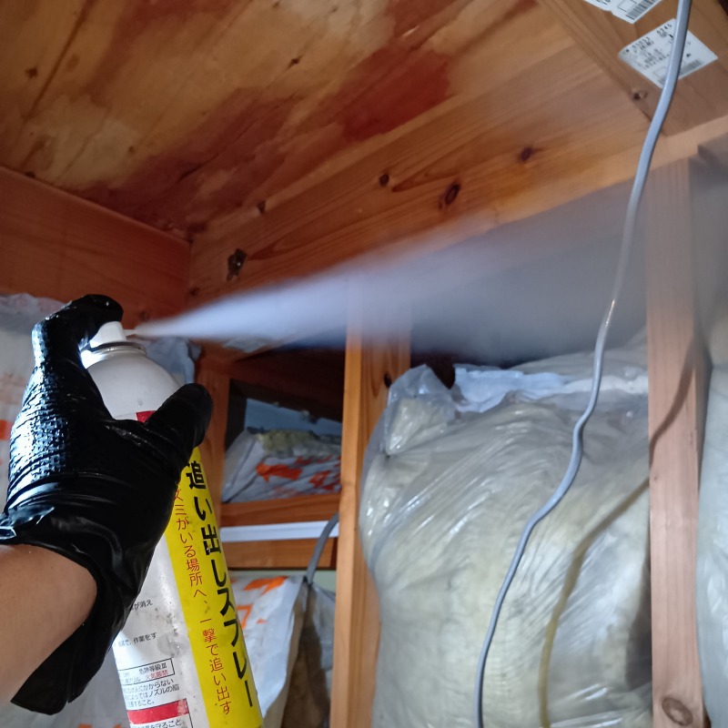 屋根裏に忌避剤を散布